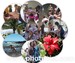 Hawai_2016_Kruh
